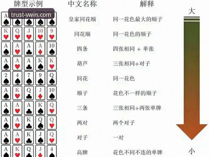 德赢体育平台使用指南：从官网访问到功能体验的全面解析